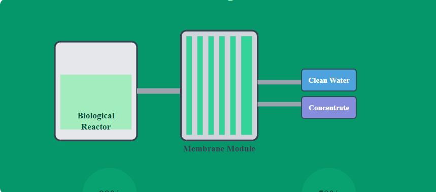 How Does MBR Technology in STP Improve Sewage Treatment Efficiency?